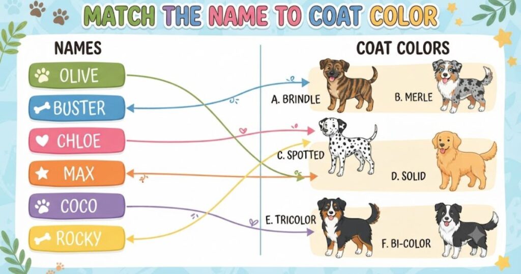 Match the Name to Coat Color